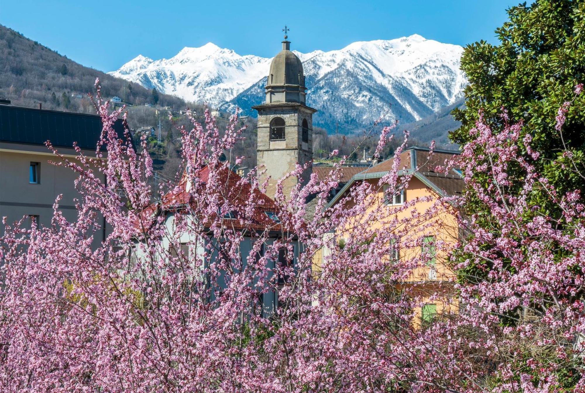 Palazzo Pellanda Apartment Domodossola Bagian luar foto
